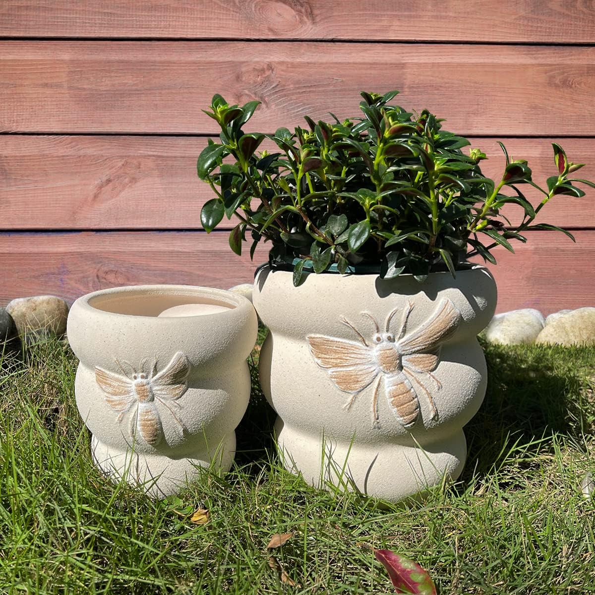 YBX 8 Inch + 6 Inch Ceramic Plant Pots, Succulent Flower Pots with Drainage Holes, Terracotta Planters for Indoor Plants, White&Terracotta (Garden)