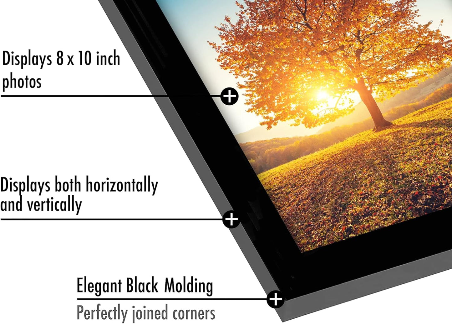 Americanflat 12x18 Poster Frame with Shatter-Resistant Glass - Signature Collection - Gallery-Style Frames Made of Engineered Wood - Photo Frame for Wall Display - Black - Colors B