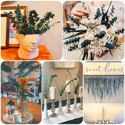 30 Pcs Dried Preserved Eucalyptus Stems Shower Bundle, 9oz 17" 100% Natural Fresh Eucalyptus Plant, Real Eucalyptus Leaves Branches for Shower Vase Filler, Dried Flowers Arrangement Home Decor
