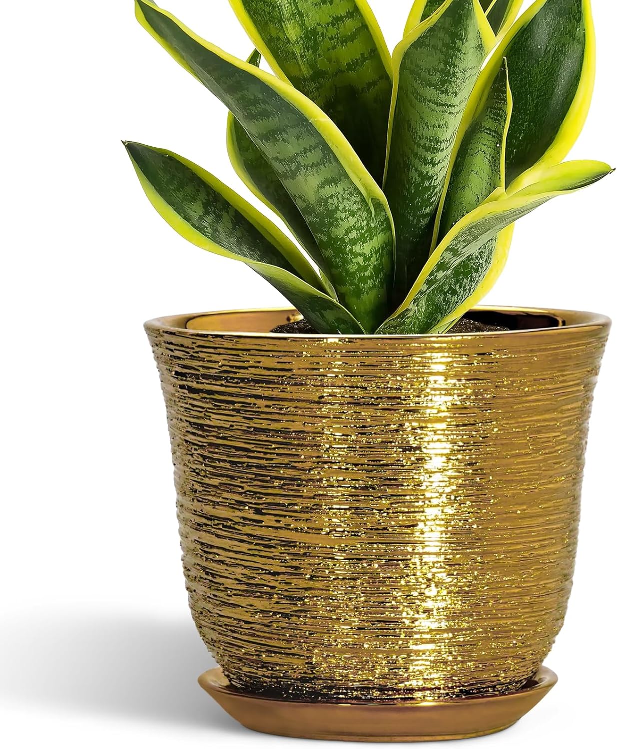 Ceramic Plant Pots - 12 Inch Pots for Plants Indoor Outdoor, Large Round Planter with Drainage Hole and Saucer, Modern Decorative Flower Pot, Home Garden Decor, House Warming Gifts, Blue
