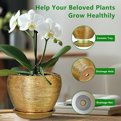 Ceramic Modern Glaze Succulent Planter Pot with Drainage Hole and Saucer 6 Inch Round Flower Plant Pot for Indoor Outdoor Herb Snake Plants