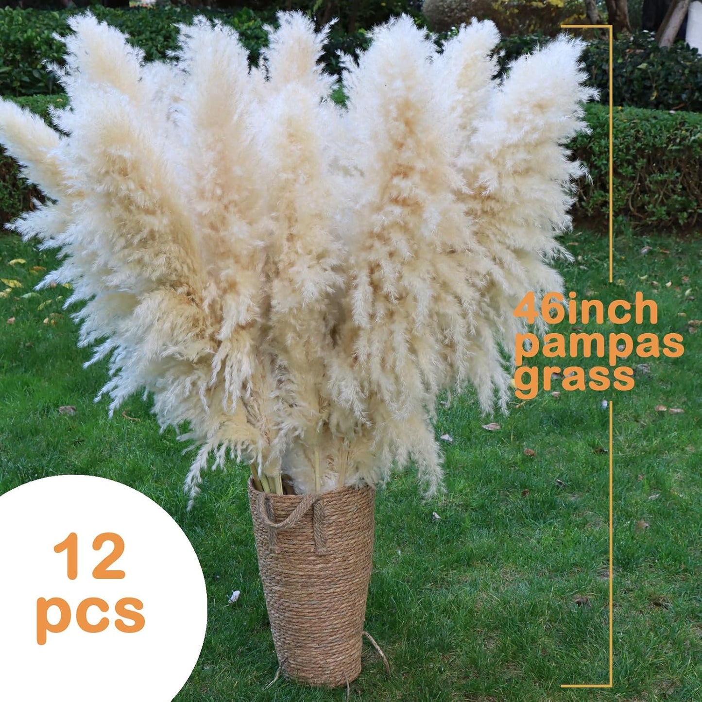 Pasuvsigt 12pcs 40'' Dried Pampas Grass Decor - Tall-Large Pampas Grass - Natural Beige - Boho Home Decor
