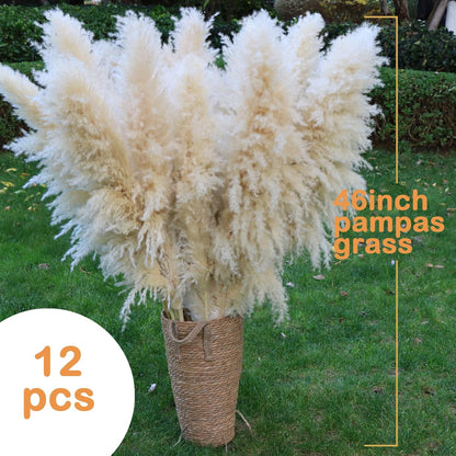 Pasuvsigt 12pcs 40'' Dried Pampas Grass Decor - Tall-Large Pampas Grass - Natural Beige - Boho Home Decor