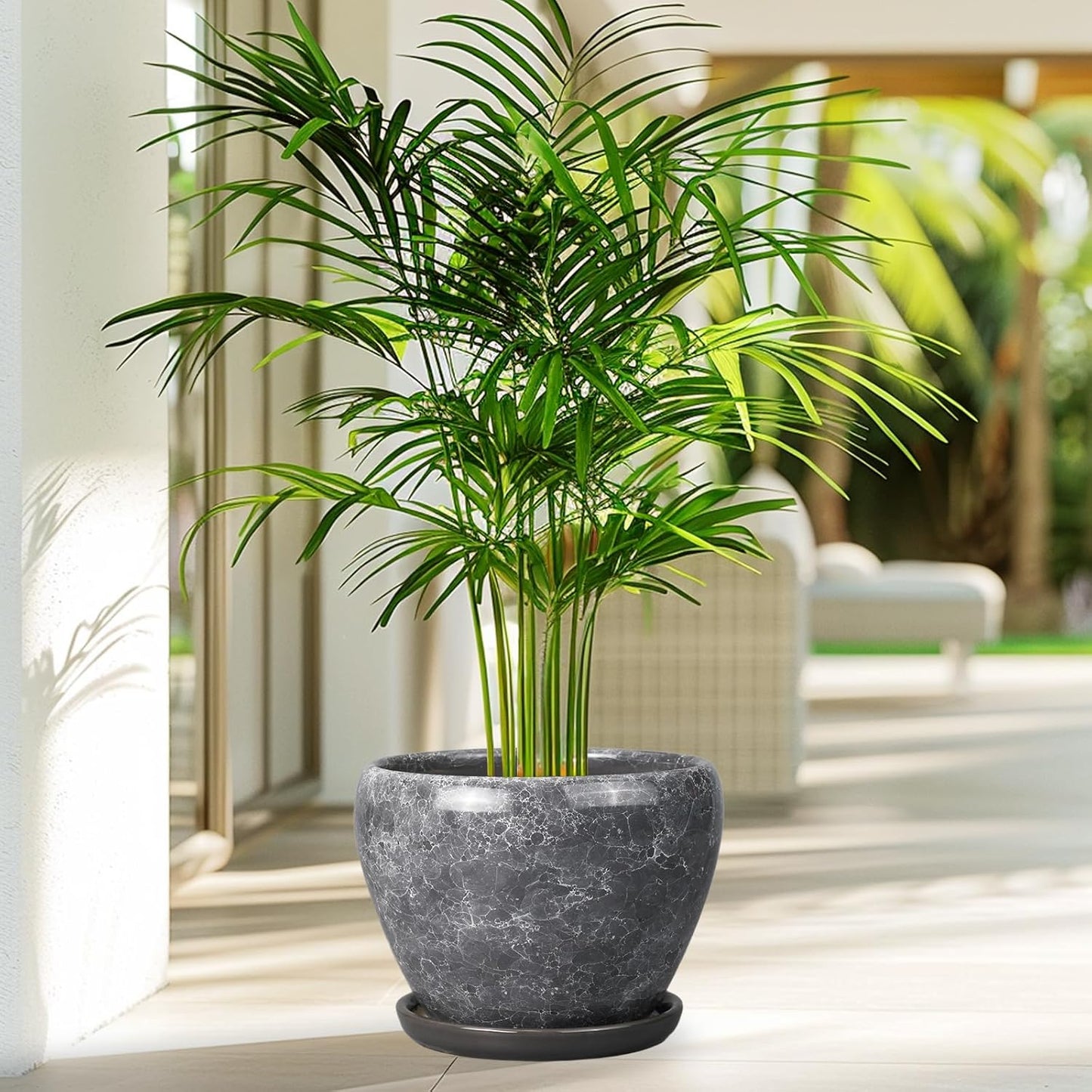 Ceramic Modern Glaze Succulent Planter Pot with Drainage Hole and Saucer 6 Inch Round Flower Plant Pot for Indoor Outdoor Herb Snake Plants