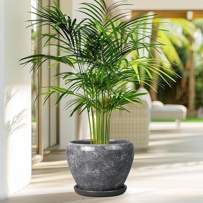 Ceramic Modern Glaze Succulent Planter Pot with Drainage Hole and Saucer 6 Inch Round Flower Plant Pot for Indoor Outdoor Herb Snake Plants