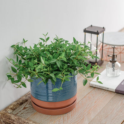 HERDUK 6 Inch Plant Pots, Ceramic Planter Pot with Drainage Hole & Saucer, Indoor/Outdoor Cylinder Round Planter Pot, Green & Beige