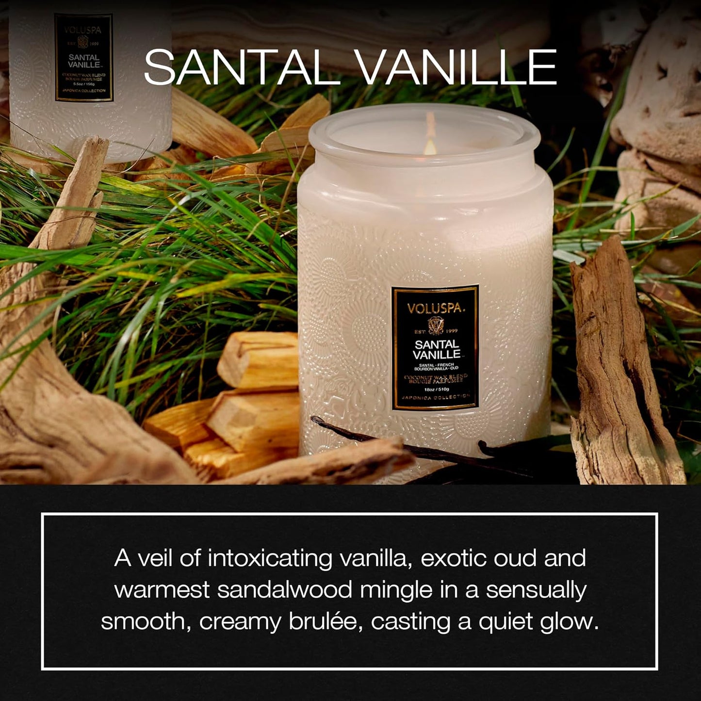 Voluspa Baltic Amber Candle, 18 oz, Coconut Wax Blend, Scented Candles for Home, 100 Hour Burn Time, Candle Jar