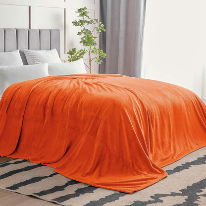 BEDELITE Fleece Blanket Black Throw Blankets for Couch & Bed, Luxury Plush Cozy Fuzzy Blanket 50x60 inches, Super Soft Warm Lightweight Throw Blanket for Travel Camping - Colors B