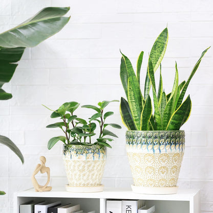 6 Inch Ceramic Planter Pots with Drainage Holes, Saucers and Mesh Pads for Indoor-Outdoor Plants, Succulent Orchid Flower Large Round Plant Pot, Set of 2 (Green+White)