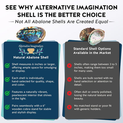 Alternative Imagination Hand Selected Abalone Shell - 6 Inches or Larger - Polished Mother-of-Pearl Interior - Flame-Proof Dish for Incense, Smudge Sticks, Trinkets, Crystal Display & Home Decor