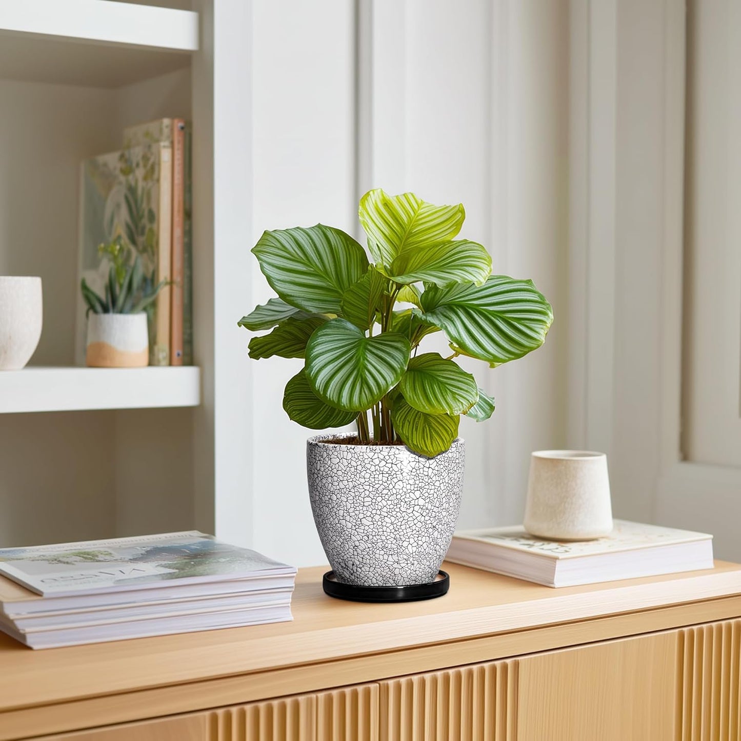 10 Inch Ceramic Planter Pot Round Plant Pot for Indoor Plants Outdoor Large Flower Pot with Drainage Hole and Saucer Blue