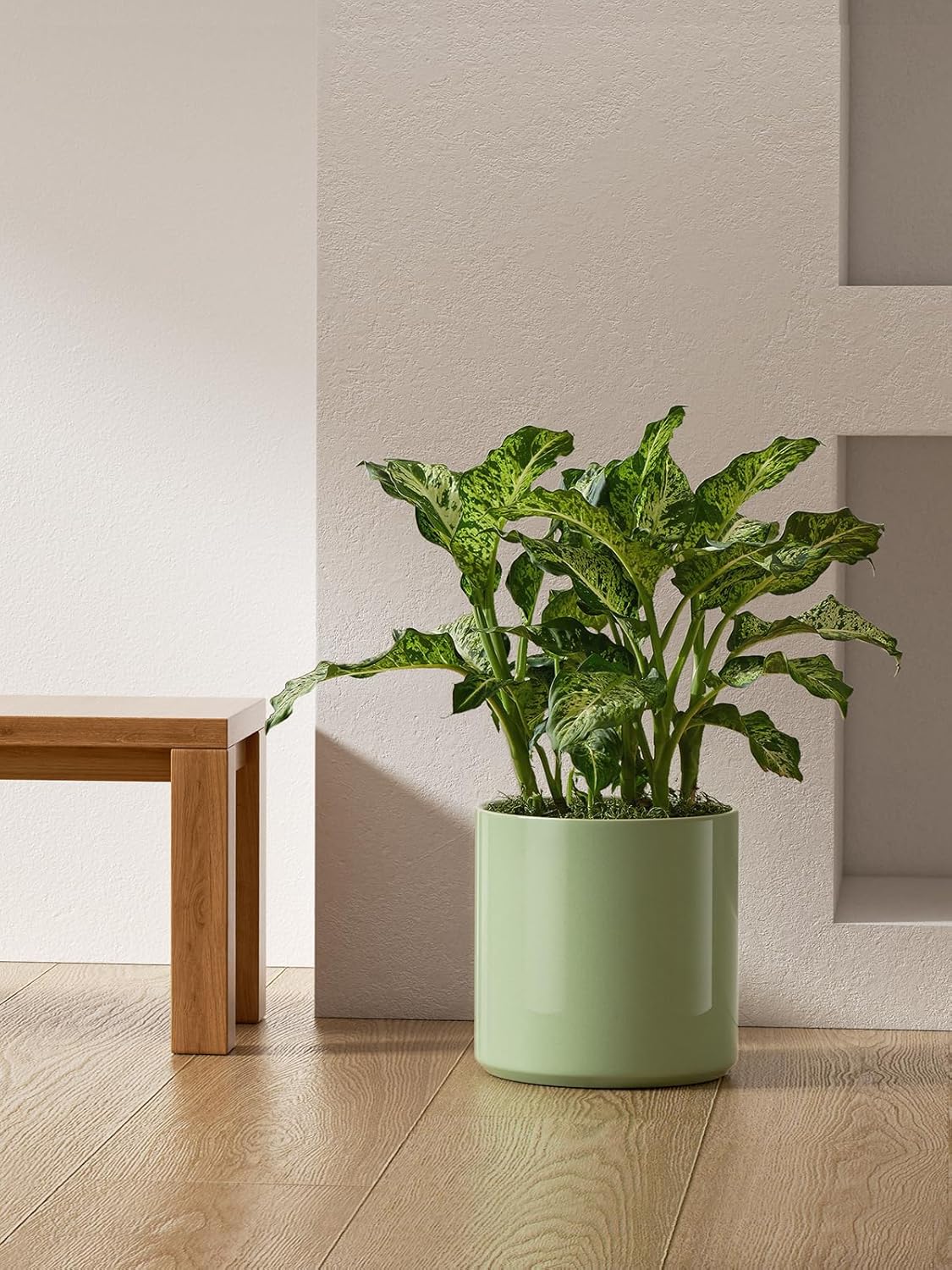 LE TAUCI 12 Inch Pot for Plants, Ceramic Planters for Indoor Plants, Mid-Century Modern Cylinder Flower Pots with Drainage Hole, Fits Fiddle Leaf Fig & Monstera, Home Decor, White