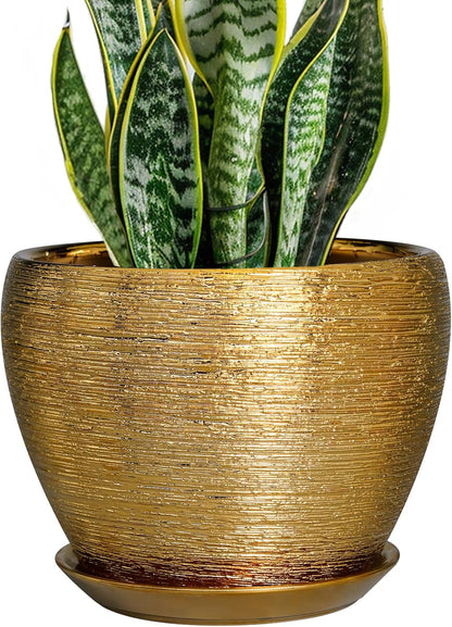 Ceramic Modern Glaze Succulent Planter Pot with Drainage Hole and Saucer 6 Inch Round Flower Plant Pot for Indoor Outdoor Herb Snake Plants