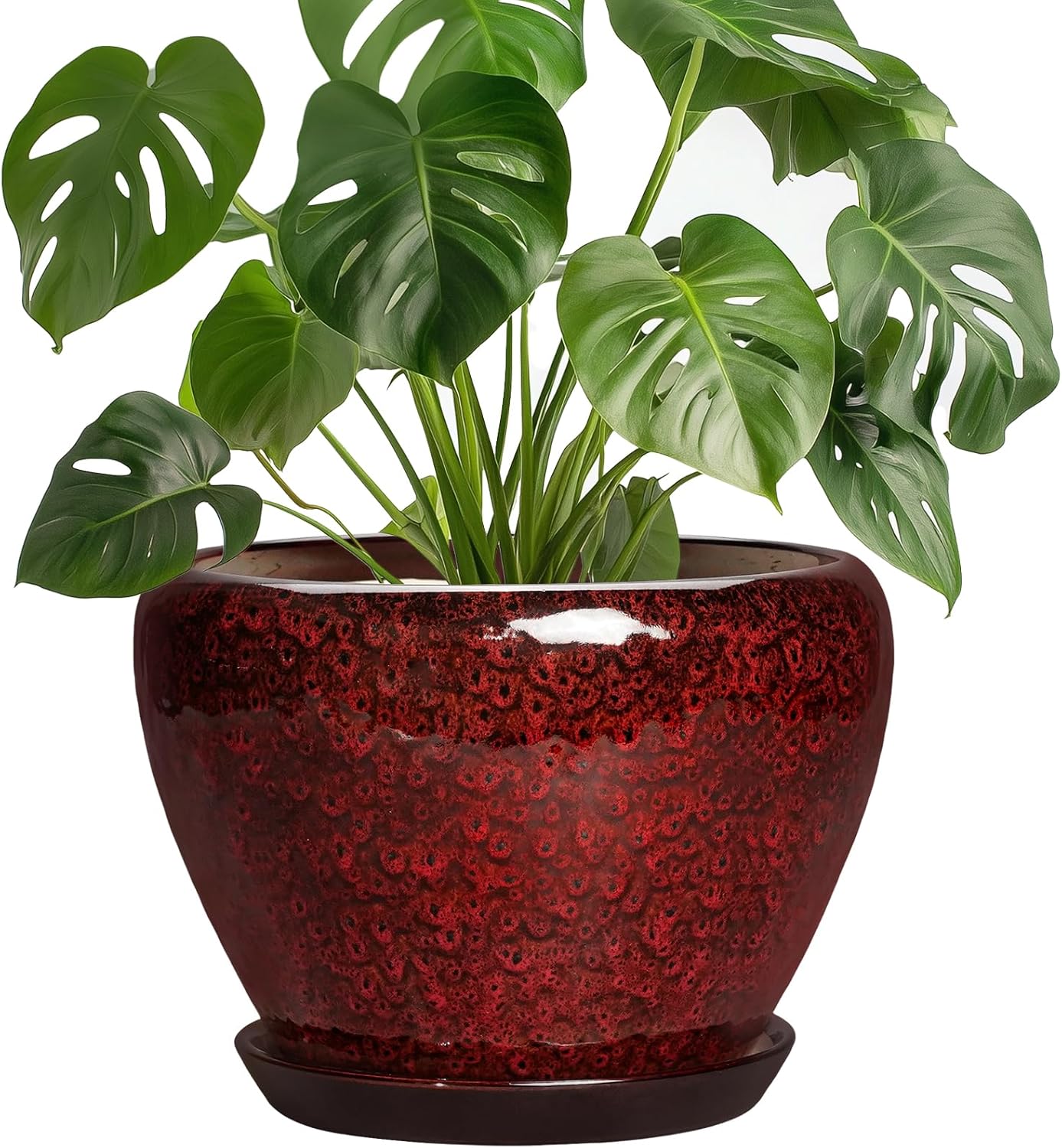 6 Inch Plant Pot - Ceramic Pots for Plants with Drainage Hole and Saucer, Round Succulent Planter Indoor Outdoor, Modern Flower Pot for Snake Plants, Home Decor, Gifts for Plant Lover, Blue