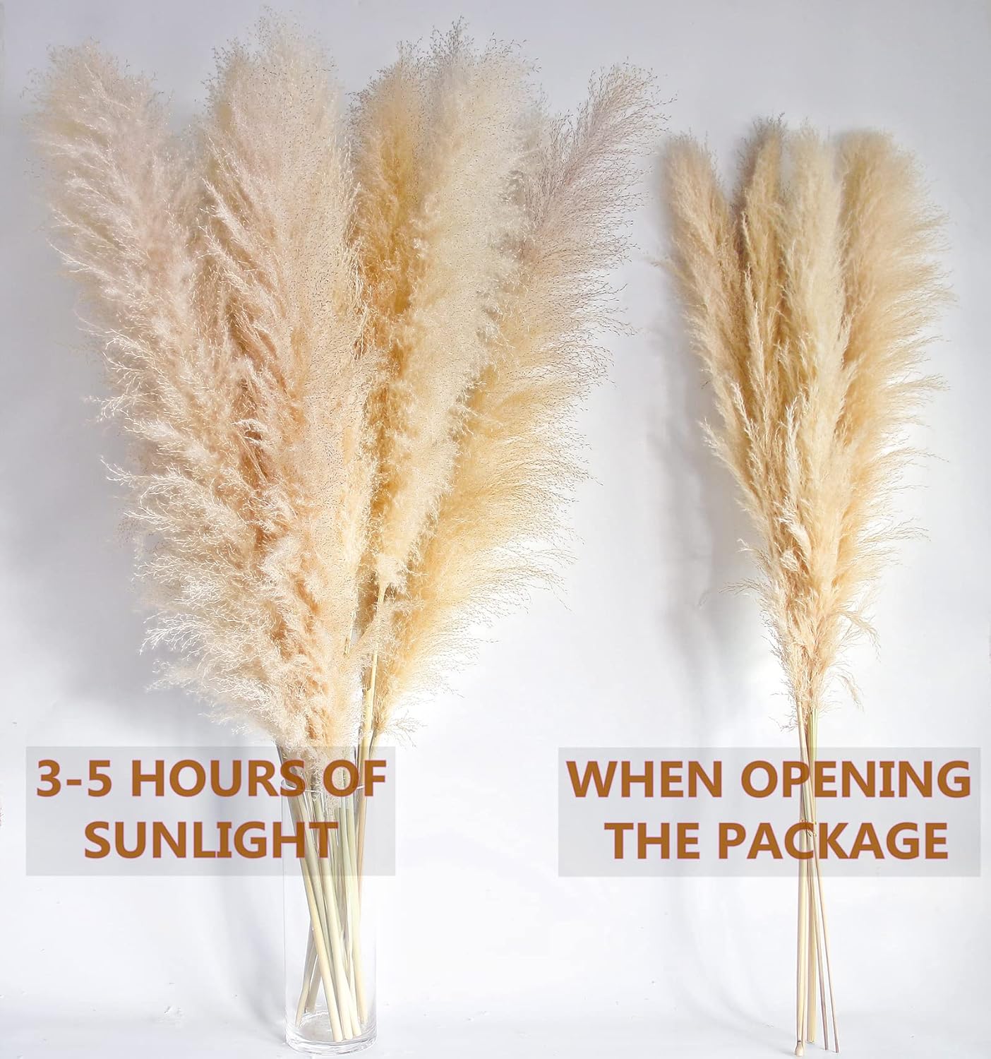 46" inch 10 Stems Natural Pampas Grass Decor Tall, Pompas Grass, Tall Pampas Grass for Weddingm, Farmhouse, Boho Home Decor (Beige)