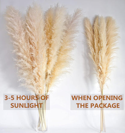 46" inch 10 Stems Natural Pampas Grass Decor Tall, Pompas Grass, Tall Pampas Grass for Weddingm, Farmhouse, Boho Home Decor (Beige)