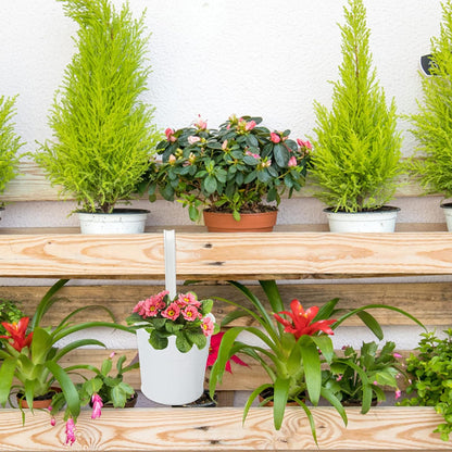 KINGLAKE Flower Pots,10 Pcs Metal Iron Hanging Flower Plant Pots Balcony Garden Plant Planter Baskets Fence Bucket Pot 4'' Flower Holders with Detachable Hook