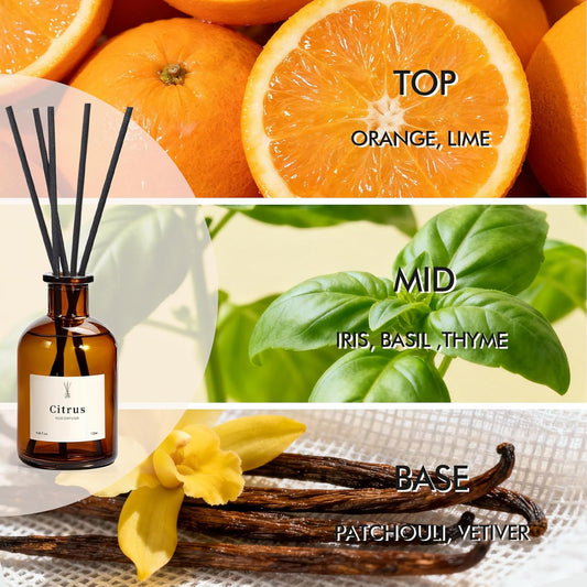 Reed Diffuser Set, 8.12 fl.oz Eucalyptus Scented Diffuser with Sticks, Up to 120 Days, Home Fragrance Reed Diffuser for Bathroom Shelf Decor & Room Freshener, 2 Pack