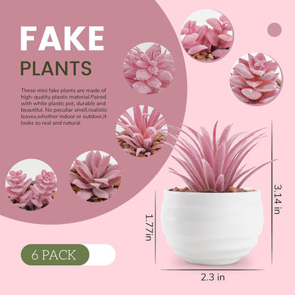 Der Rose Set of 6 Succulents Plants Artificial in Pots Small Fake Plants for Bedroom Aesthetic Living Room Shelf Bathroom Decor Office Desk Accessories