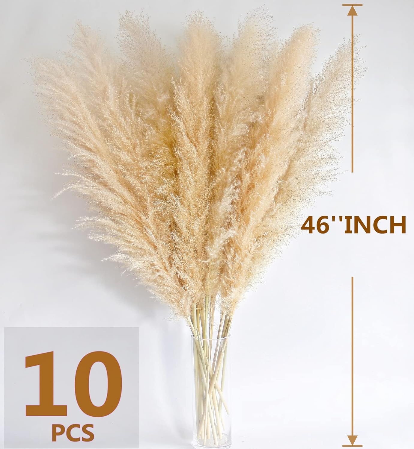 46" inch 10 Stems Natural Pampas Grass Decor Tall, Pompas Grass, Tall Pampas Grass for Weddingm, Farmhouse, Boho Home Decor (Beige)