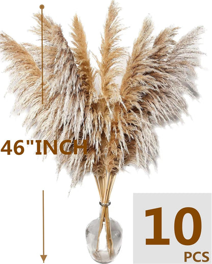 46" inch 10 Stems Natural Pampas Grass Decor Tall, Pompas Grass, Tall Pampas Grass for Weddingm, Farmhouse, Boho Home Decor (Beige)