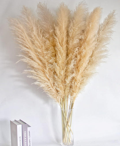 46" inch 10 Stems Natural Pampas Grass Decor Tall, Pompas Grass, Tall Pampas Grass for Weddingm, Farmhouse, Boho Home Decor (Beige)