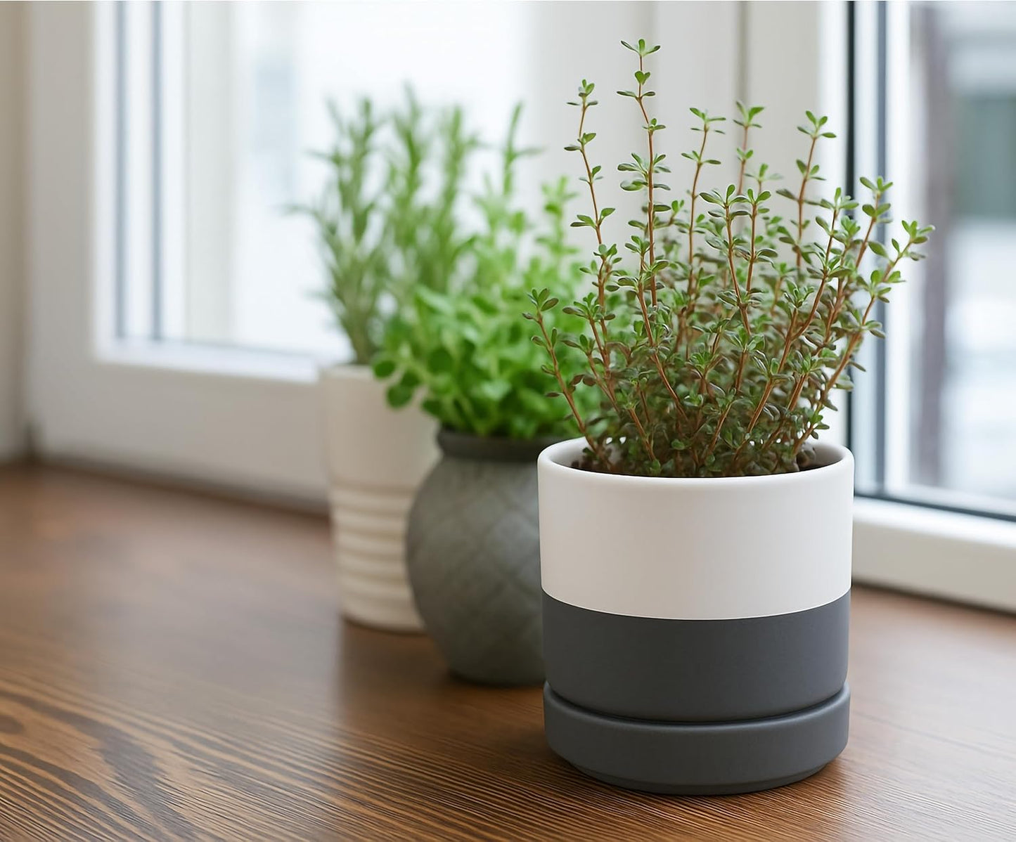 D'vine Dev Set of 2 Plants Pots, 6.5 Inch Ceramic Planter Pot for Plants with Drainage Hole and Saucer, White, 94-V-C-1