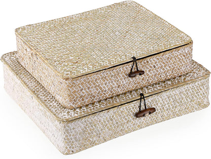 Hipiwe Set of 2 Flat Woven Wicker Storage Bins with Lid Natural Seagrass Basket Multipurpose Home Boxes for Shelf Organizer (Coffee)