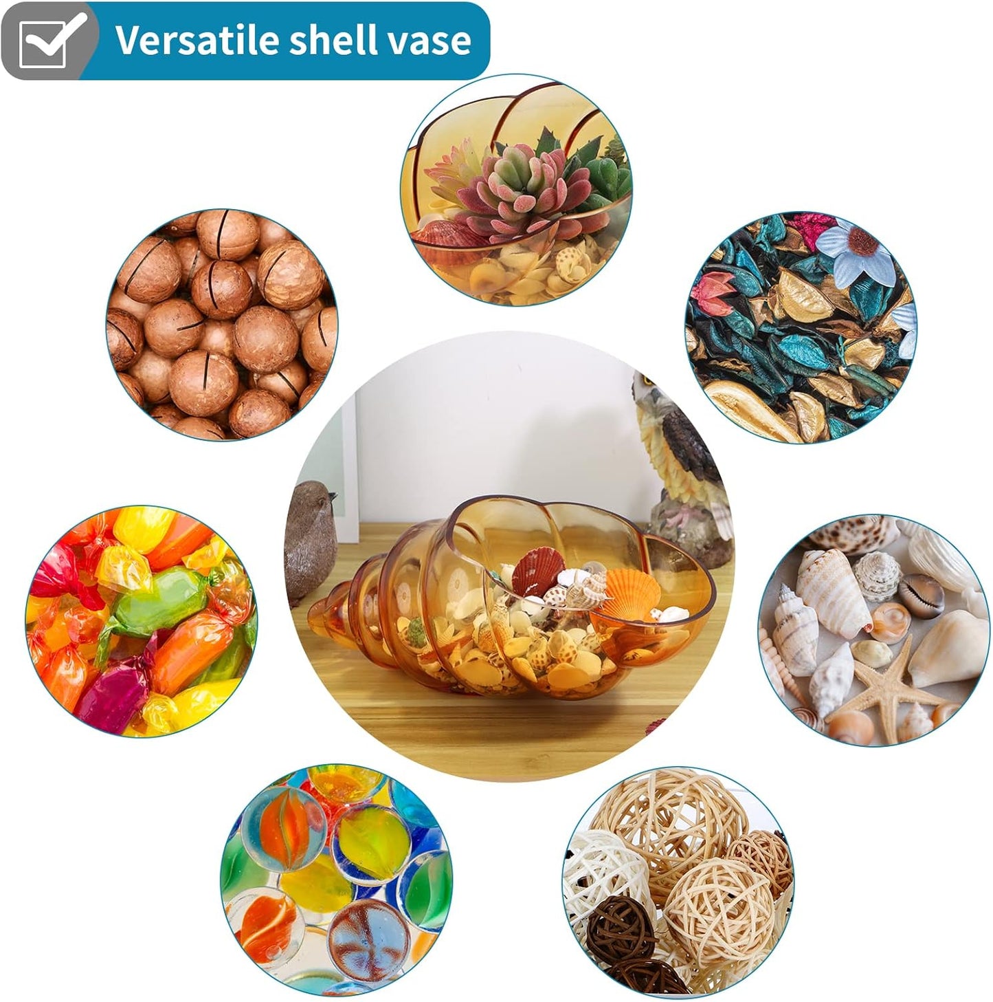 MDLUU Glass Shell Vase, 11-Inch Seashell Potpourri Holder, Large Decorative Conch Bowl for Shell Collection Display, Sea Glass, Air Plant