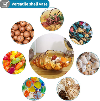 MDLUU Glass Shell Vase, 11-Inch Seashell Potpourri Holder, Large Decorative Conch Bowl for Shell Collection Display, Sea Glass, Air Plant