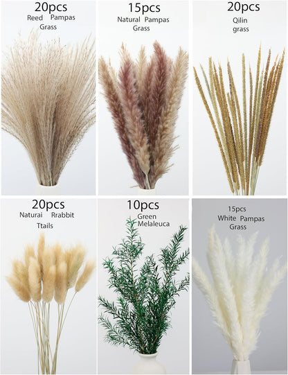 xin's convey 120 PCS Dried Pampas Grass, Dried Flowers, Reed Grass Bouquet for Bohemian Flowers Home Table Wedding Decoration, Rustic Farmhour.(Light Brown)