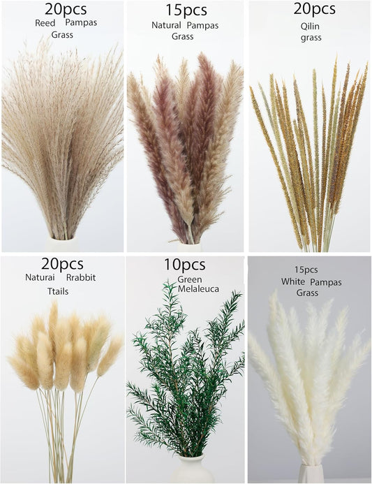 xin's convey 120 PCS Dried Pampas Grass, Dried Flowers, Reed Grass Bouquet for Bohemian Flowers Home Table Wedding Decoration, Rustic Farmhour.(Light Brown)