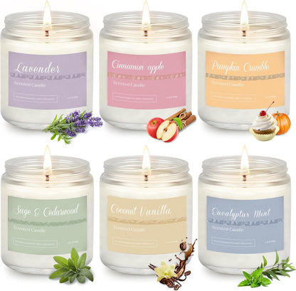 6 Pack Scented Candles Gift Set, Long Lasting Aromatherapy Candles for Home, 37.8 oz 300 Hour Burn, Lavender Jasmine Vanilla Sage Sandalwood Rose Eucalyptus Mint, Gifts for Women