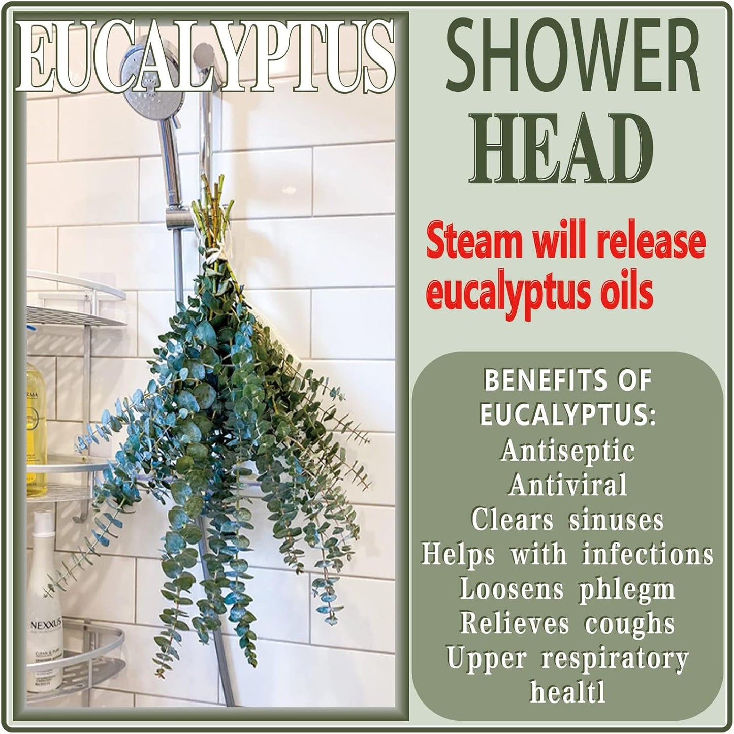 30Pcs Dried Eucalyptus Stems, 17" Real Preserved Eucalyptus Plant for Shower, Fresh Natural Branches for Vase, Eucalyptus Bundle for Home Decor, Wedding, Baby Shower, Bathroom