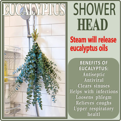30Pcs Dried Eucalyptus Stems, 17" Real Preserved Eucalyptus Plant for Shower, Fresh Natural Branches for Vase, Eucalyptus Bundle for Home Decor, Wedding, Baby Shower, Bathroom