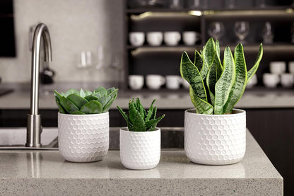 Docrin 3-Pack Ceramic Planters Set - 6.5"+5.3"+4" Dual-Tone Flower Pots with Drainage Holes, Modern Indoor Outdoor Planters for Succulents/Herbs/Large Plants, Home Office (Brownish Black & White)