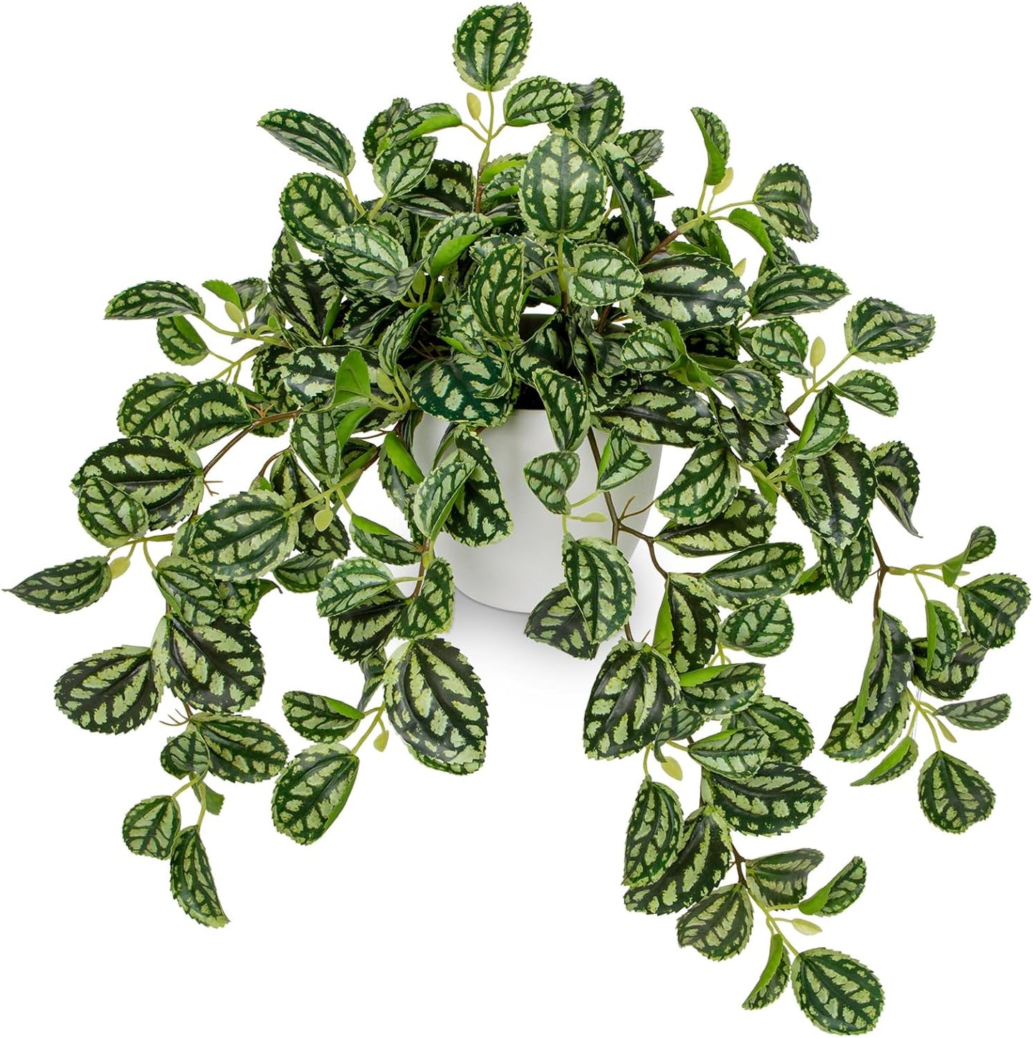 Briful Artificial Plants Indoor Fake Potted Silk Plants Faux Watermelon Peperomia Draping Plant for Home Office Bathroom Shelf Cabinet Tabletop Decoration(Green - 1 Pack)
