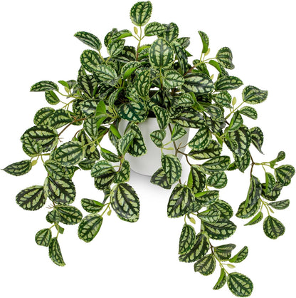 Briful Artificial Plants Indoor Fake Potted Silk Plants Faux Watermelon Peperomia Draping Plant for Home Office Bathroom Shelf Cabinet Tabletop Decoration(Green - 1 Pack)