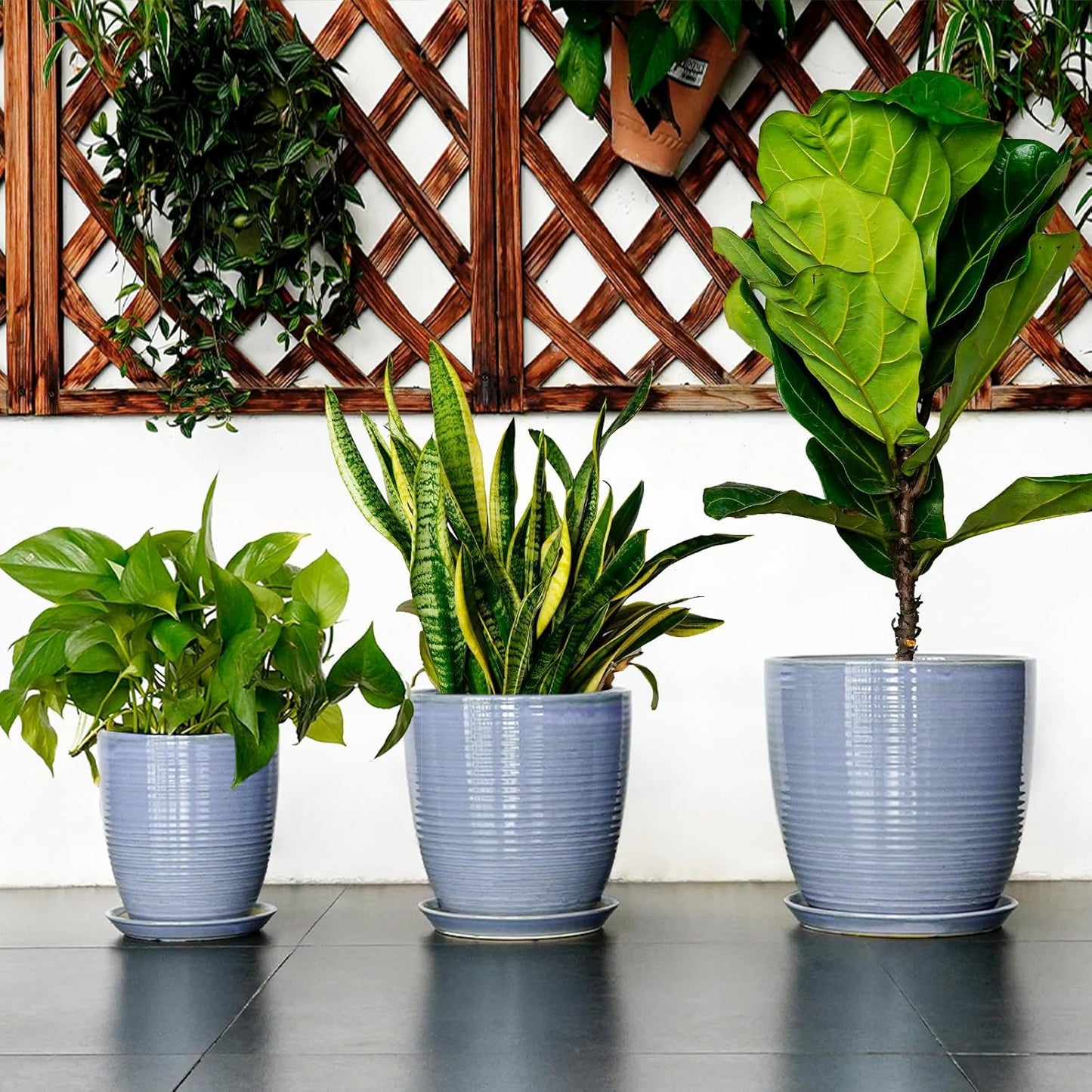 Ceramic Pots for Plants - 6 Inch Plant Pot with Drainage Hole and Saucer, Round Planters for Indoor Outdoor, Flower Pots, Modern Planter, Home Office Room Decor, Gifts for Plant Lovers, White
