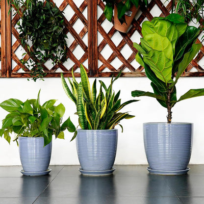 Ceramic Pots for Plants - 6 Inch Plant Pot with Drainage Hole and Saucer, Round Planters for Indoor Outdoor, Flower Pots, Modern Planter, Home Office Room Decor, Gifts for Plant Lovers, White