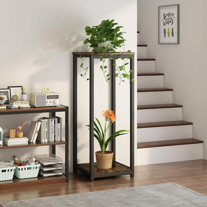 Plant Stand Indoor Corner Tall 2 Tier Metal Modern Flower Storage Plant Shelf Holder for Living Room Balcony Garden,Black (2 Tier-Black Round)