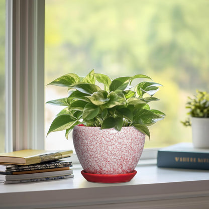 6 Inch Plant Pot - Ceramic Pots for Plants with Drainage Hole and Saucer, Round Succulent Planter Indoor Outdoor, Modern Flower Pot for Snake Plants, Home Decor, Gifts for Plant Lover, Blue