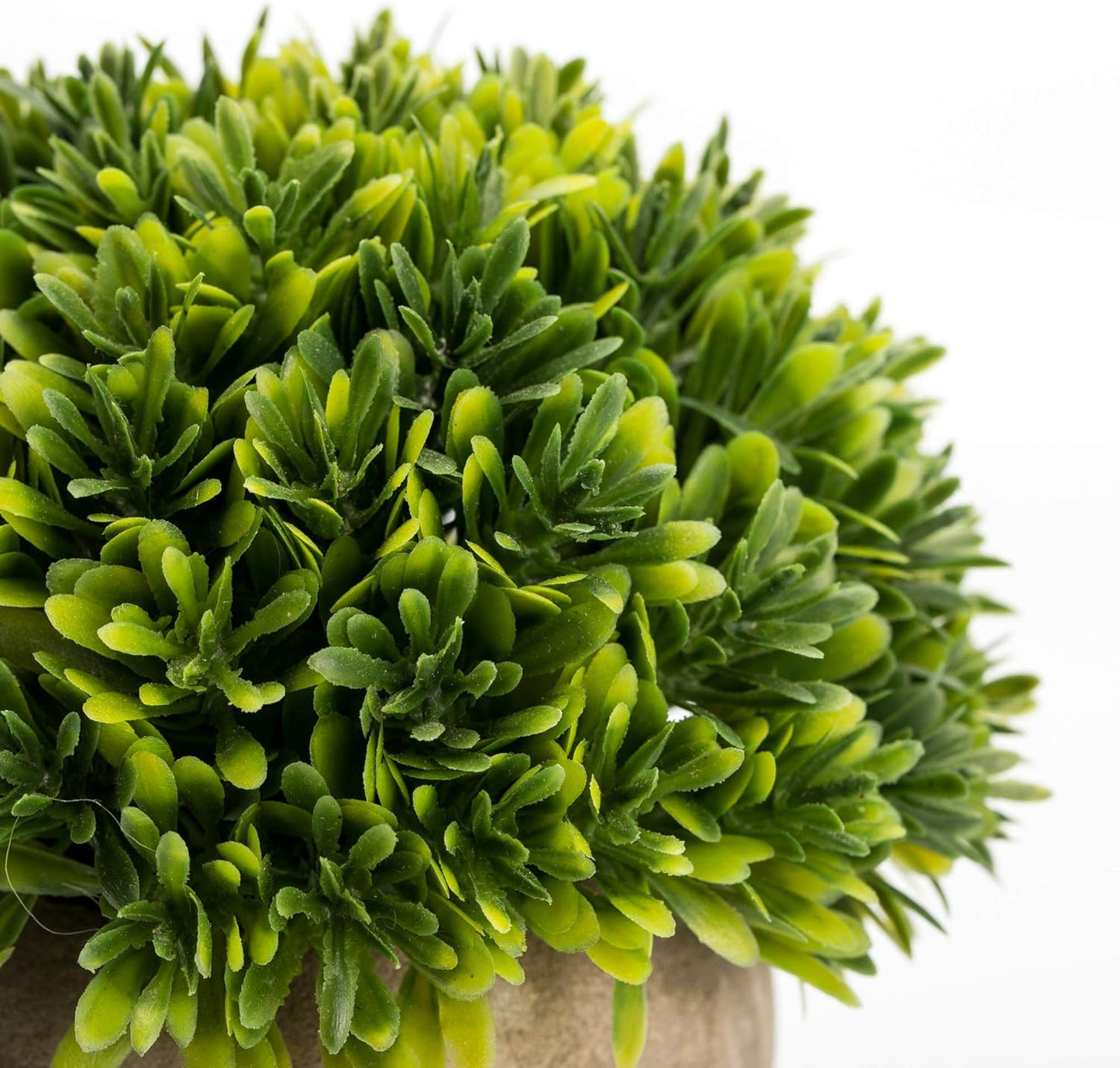 Velener Mini Sage Green Potted Boxwood Topiary Artificial Plants for Home Decor Indoor, Farmhouse House Plant Office Small Desk Shelf Apartment Coffee Bar Bathroom Decor Guest Room, Small Fake Plant