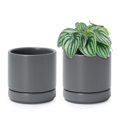D'vine Dev Set of 2 Plants Pots, 6.5 Inch Ceramic Planter Pot for Plants with Drainage Hole and Saucer, White, 94-V-C-1