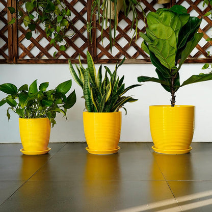 Ceramic Pots for Plants - 6 Inch Plant Pot with Drainage Hole and Saucer, Round Planters for Indoor Outdoor, Flower Pots, Modern Planter, Home Office Room Decor, Gifts for Plant Lovers, White