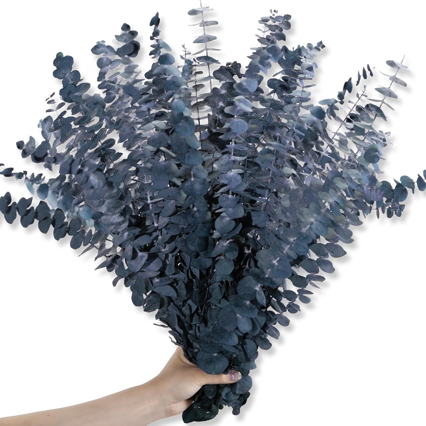 Preserved-Dried-Eucalyptus-Stems,16-17" Natural Blue-Green Eucalyptu Plant Live Fresh, Real Eucalyptus Branches Leaves for Shower Spa, Blue Dried Flowers for Vase Fillers, Home Decor & Wedding (16Pcs)
