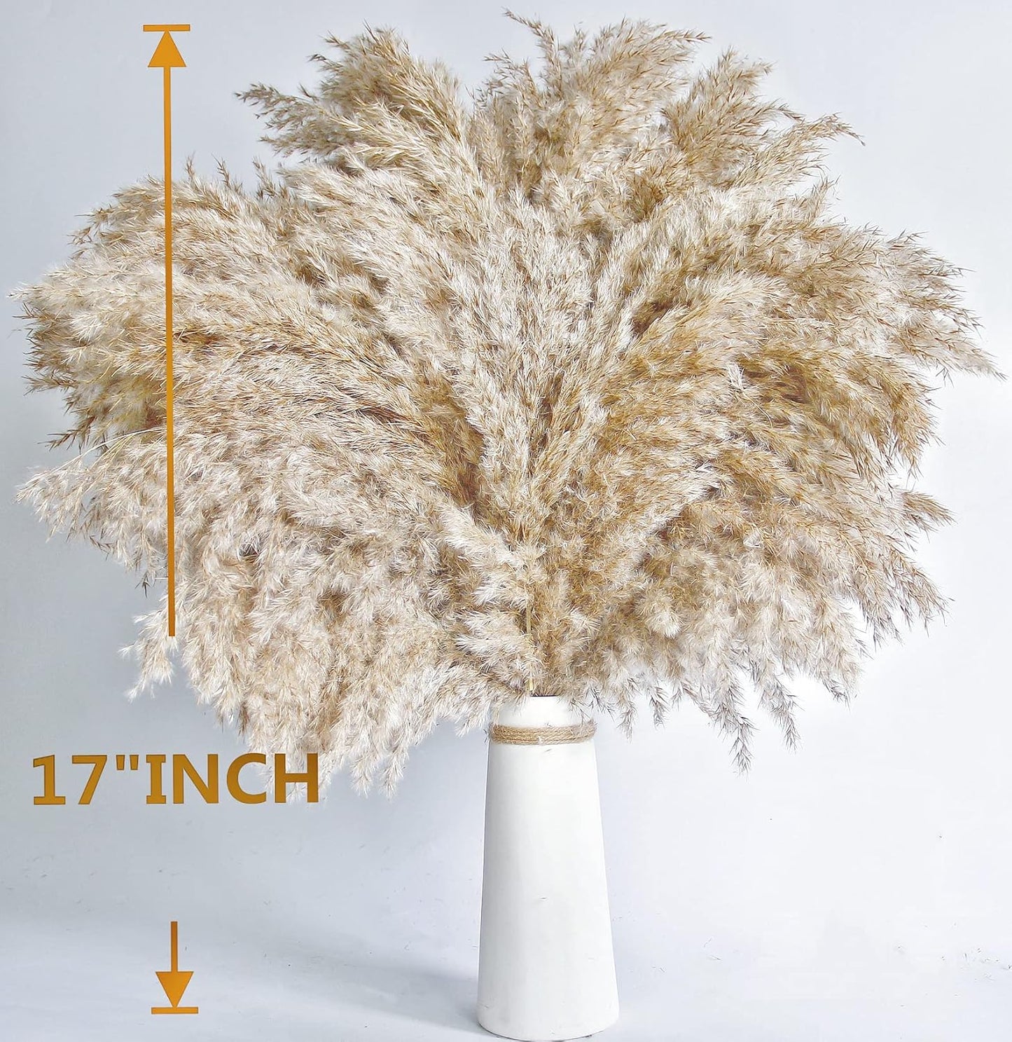 Pampas Grass Decor, Natural Dry Pampas Grass Small, Short Pampass Bulk for Farmhouse, Wall, Kitchen, Bedroom Decor, Office Decor (17 inch )