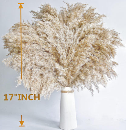 Pampas Grass Decor, Natural Dry Pampas Grass Small, Short Pampass Bulk for Farmhouse, Wall, Kitchen, Bedroom Decor, Office Decor (17 inch )