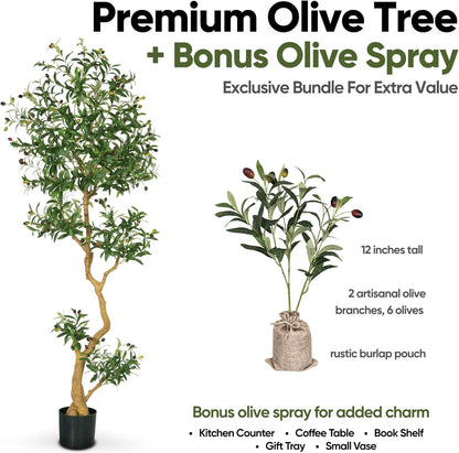 Fake Olive Tree 6.0 Feet – Artificial Plants Indoor, Faux Olive Tree, Fake Tree for Home Decor, Faux Trees Indoor for Living Room, Office, Bedroom – Tall Artificial Trees for Home, Designer Tree