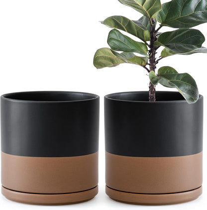 D'vine Dev Set of 2 Plants Pots, 6.5 Inch Ceramic Planter Pot for Plants with Drainage Hole and Saucer, White, 94-V-C-1